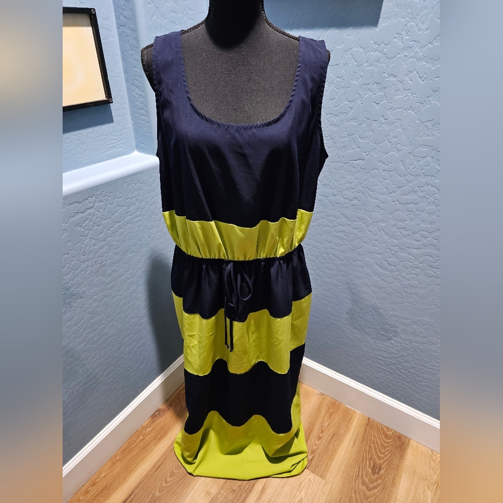 Enfocus Studio Navy and Lime Dress